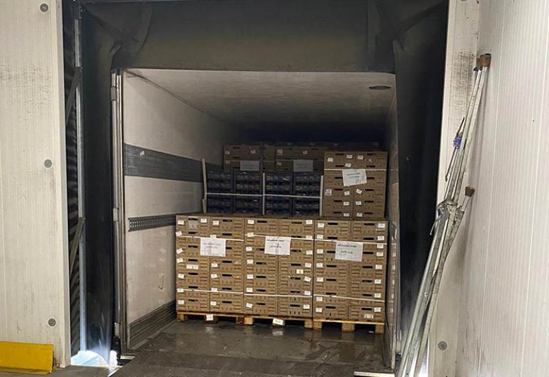 magazzino Nuova Iesce Trasporti